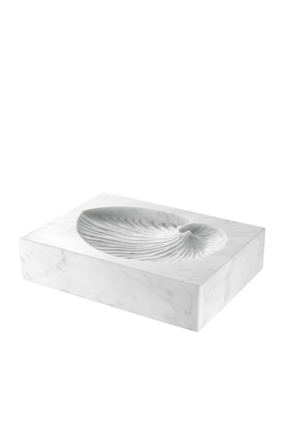 White Marble Shell Fossil | Eichholtz Conchiglia