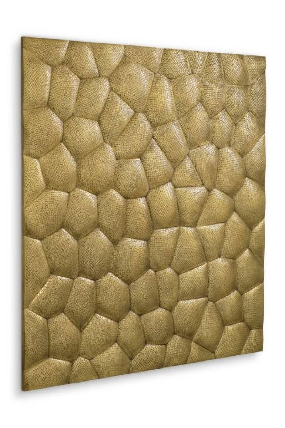 Vintage Brass Snakeskin Wall Object | Eichholtz Maximus | Oroa.com