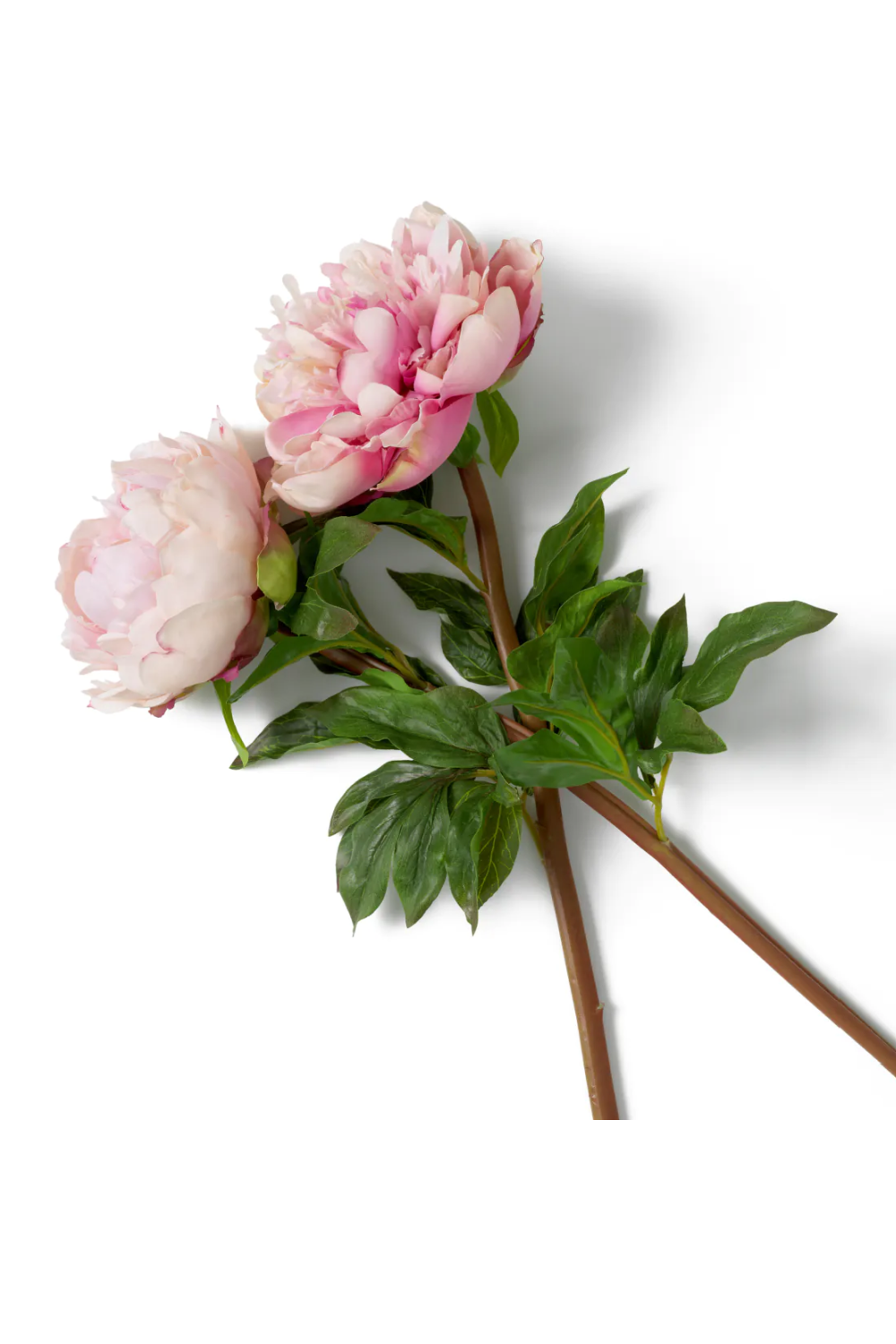 Artificial Blooms Bouquet (48pcs) | Eichholtz Peonies | Oroa.com