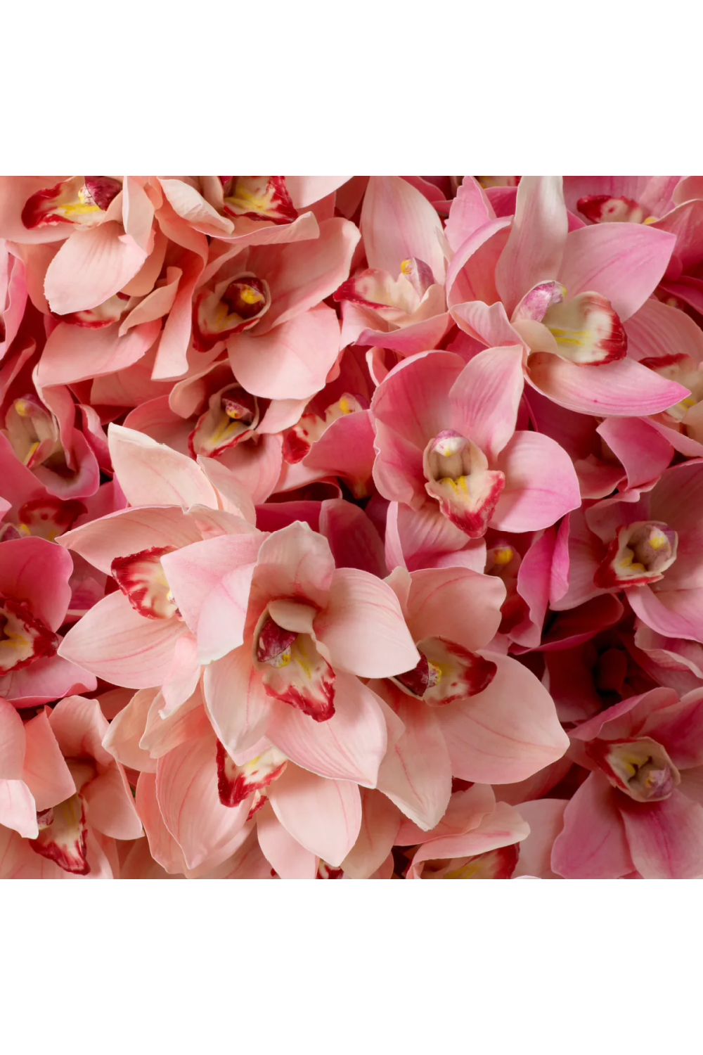 Pink Artificial Orchids Bouquet (36pcs) | Eichholtz Cymbidium | Oroa.com