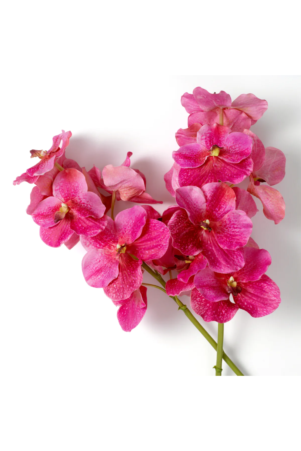 Artificial Orchids Bouquet (24pcs) | Eichholtz Vanda | Oroa.com