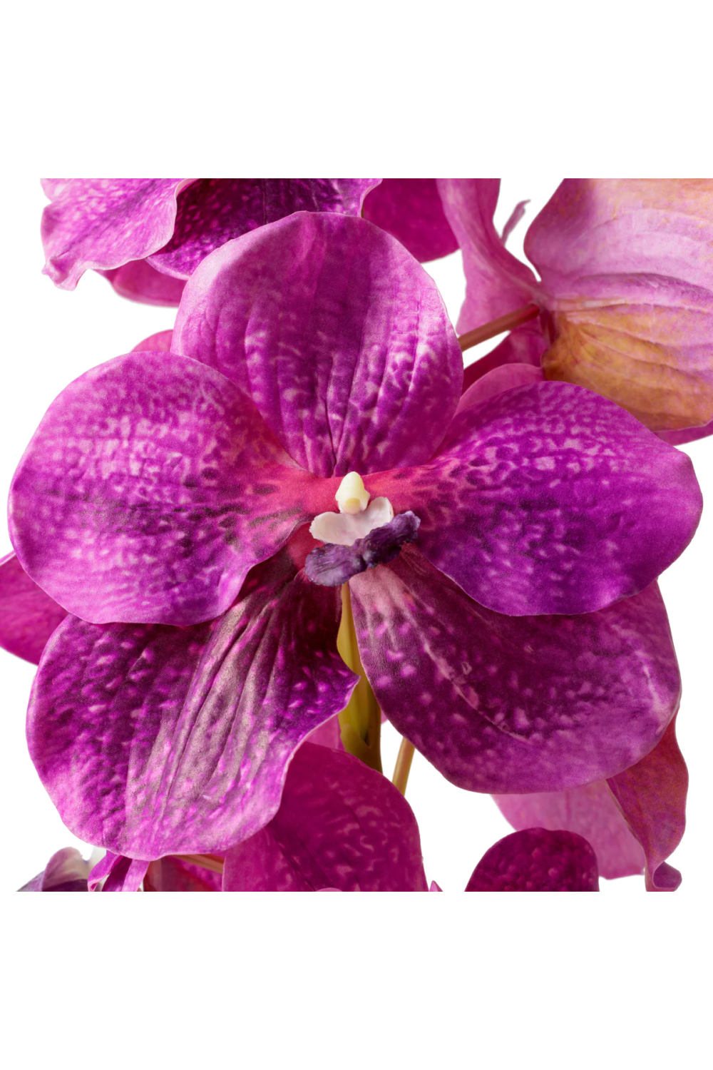 Artificial Orchids Bouquet (24pcs) | Eichholtz Vanda | Oroa.com
