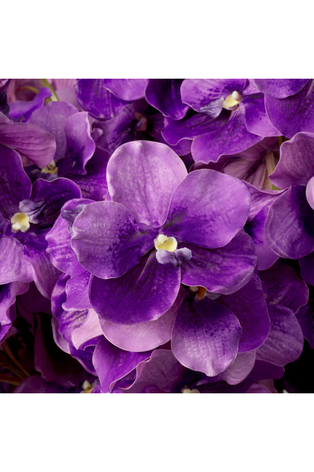 Artificial Orchids Bouquet (24pcs) | Eichholtz Vanda | Oroa.com