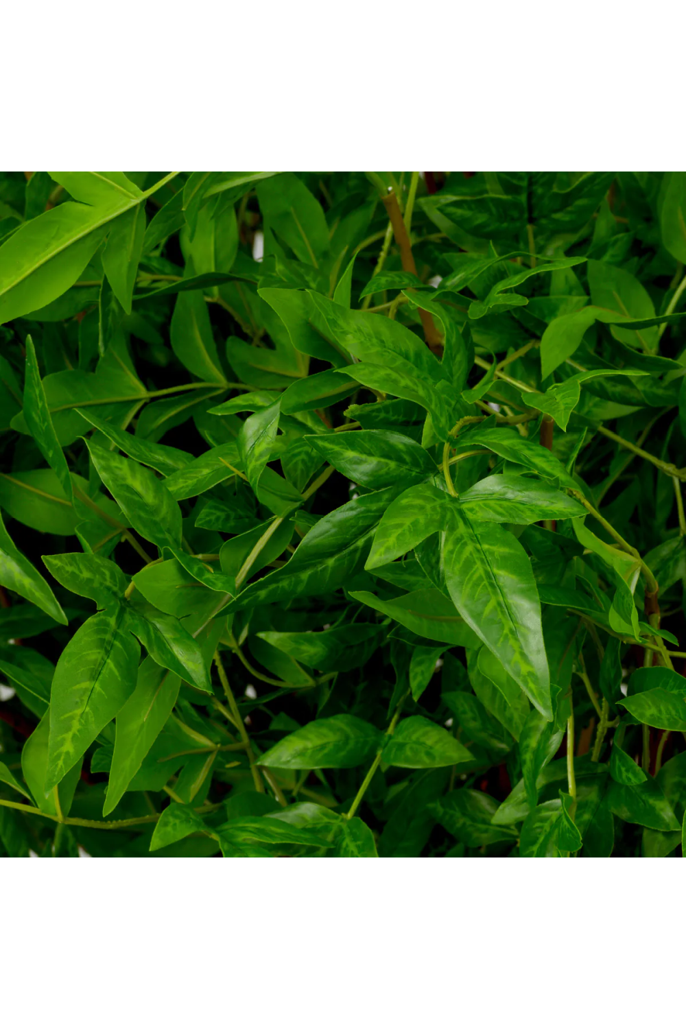 Faux Green Foliage (36) | Eichholtz Bundle of Tender Leaves | Oroa.com