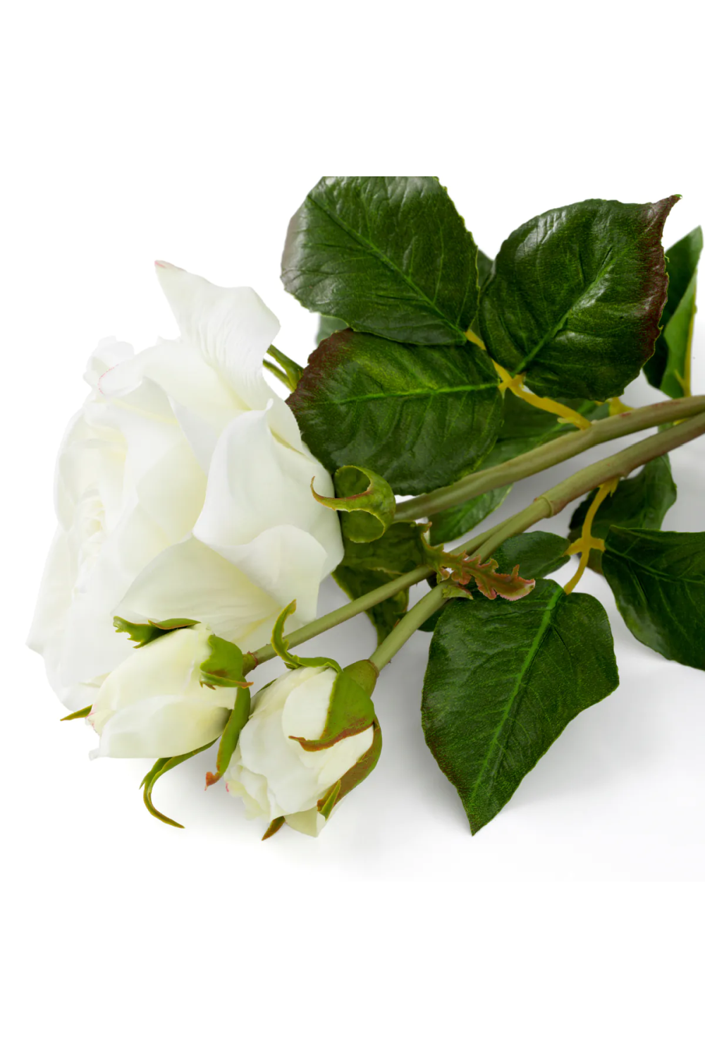 Three-Toned Faux Roses (72) | Eichholtz | Oroa.com