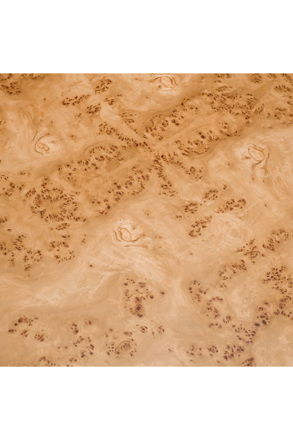 Mappa Burl Coffee Table Set (3) | Eichholtz Quinton | Oroa.com