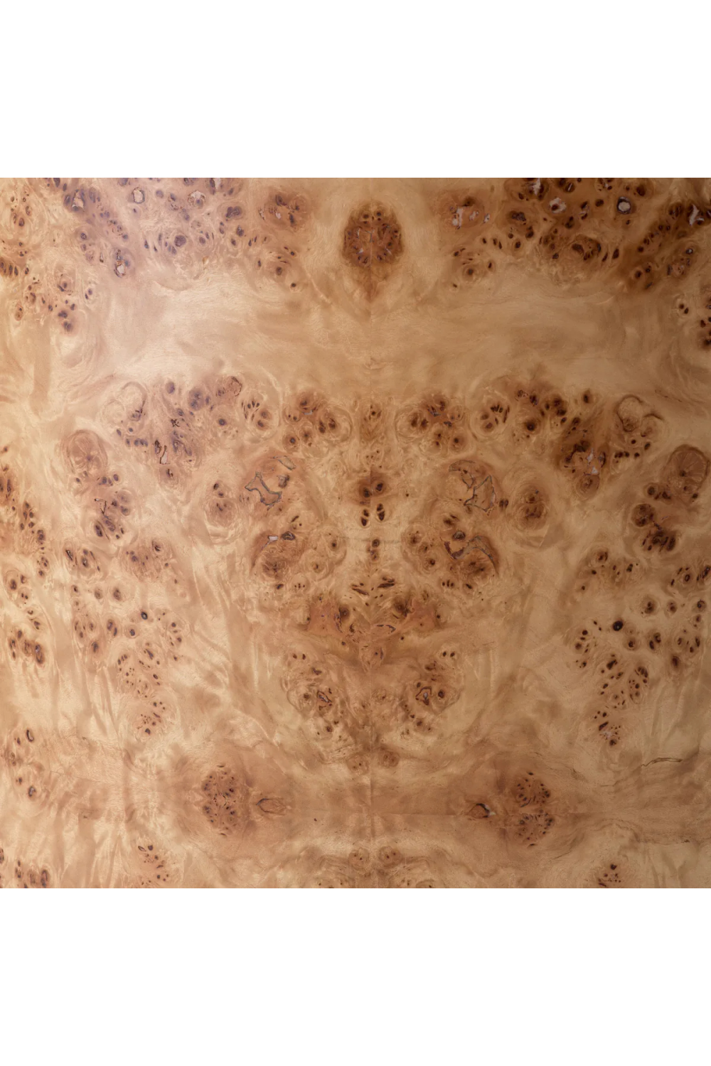 Mappa Burl Curved Dining Chair | Eichholtz Percy | Oroa.com