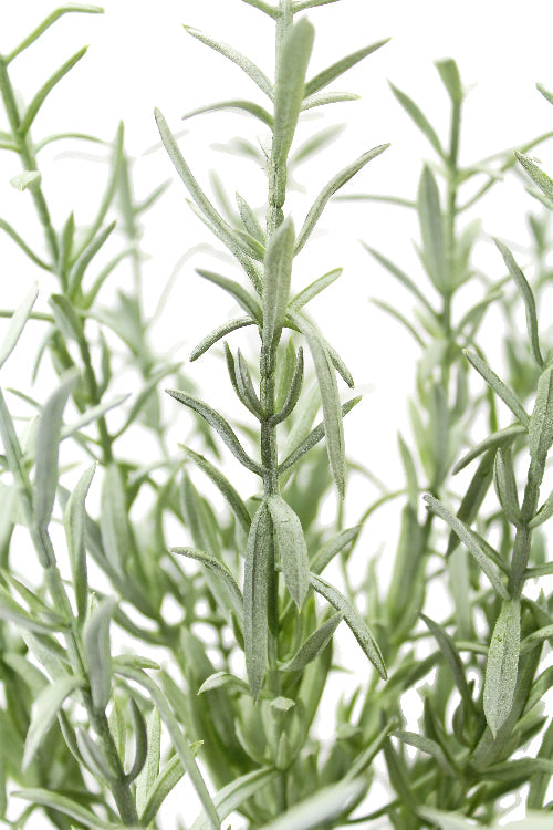 12" Rosemary & 16" Olive Faux Topiary (S/2) - OROA