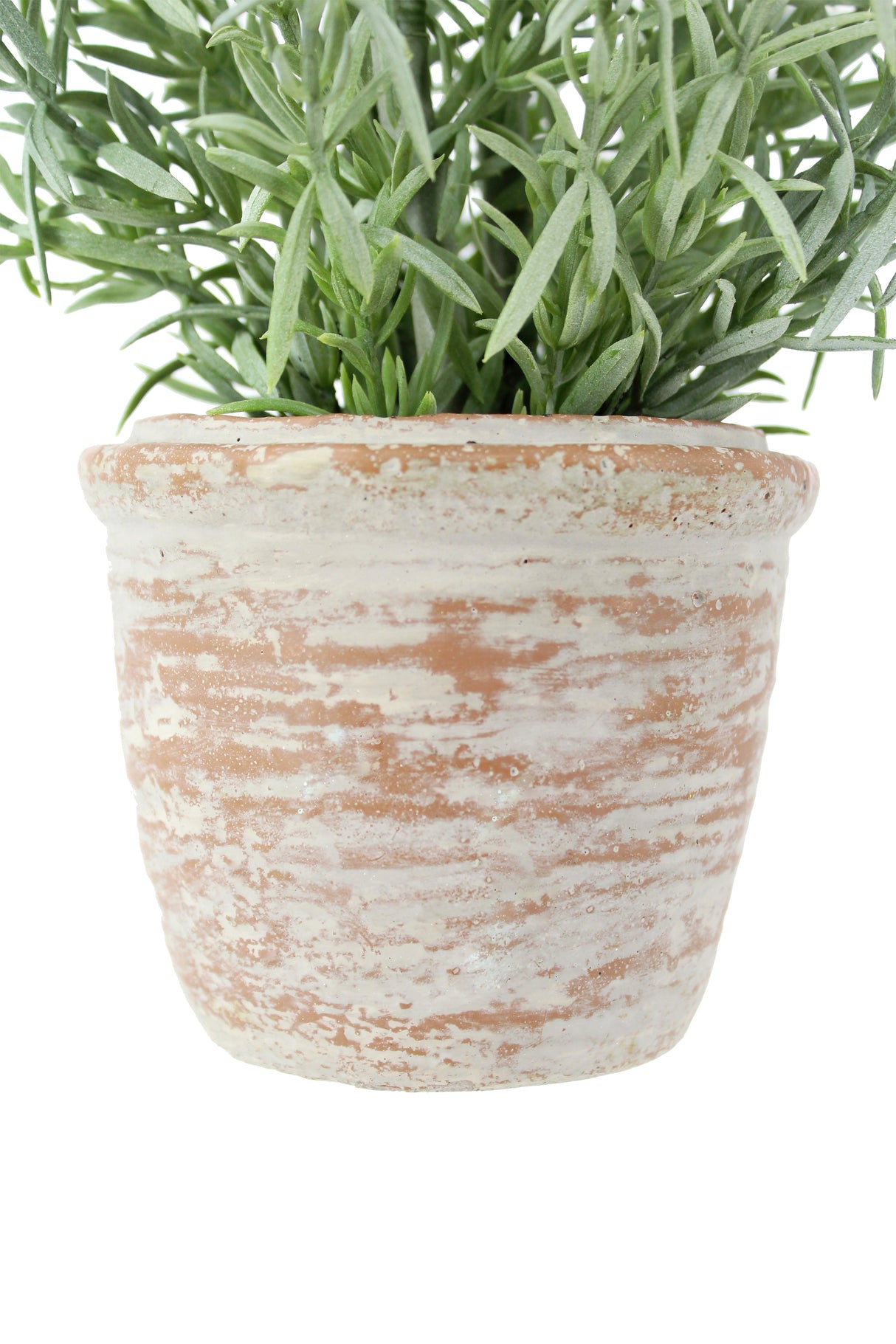 12" Rosemary & 16" Olive Faux Topiary (S/2) - OROA