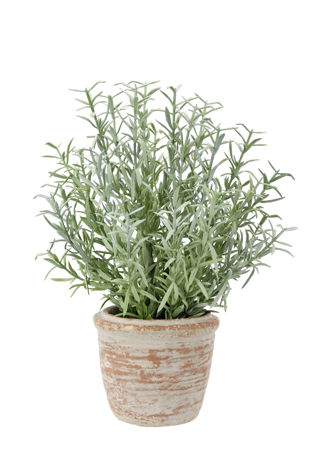 12" Rosemary & 16" Olive Faux Topiary (S/2) - OROA