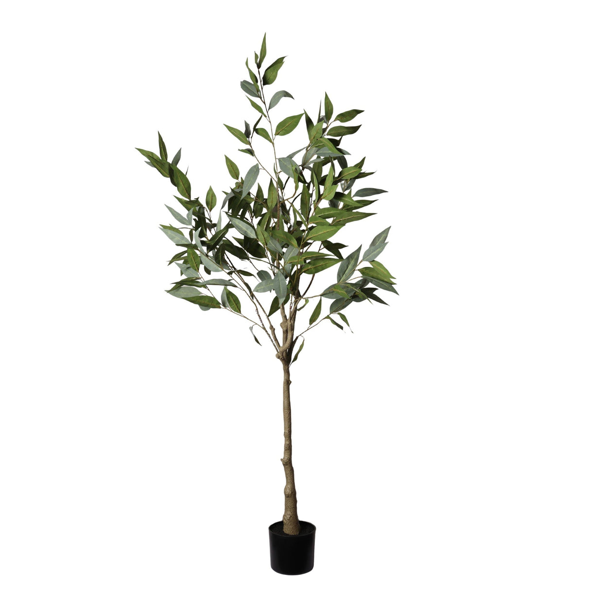 Artificial Eucalyptus Tree - Natural Look