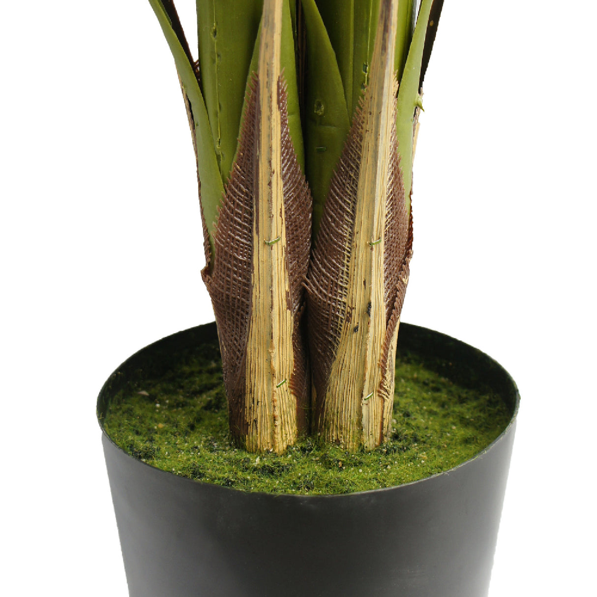Modern European furniture - 71" Everlasting Palm Tree - www.oroa.com