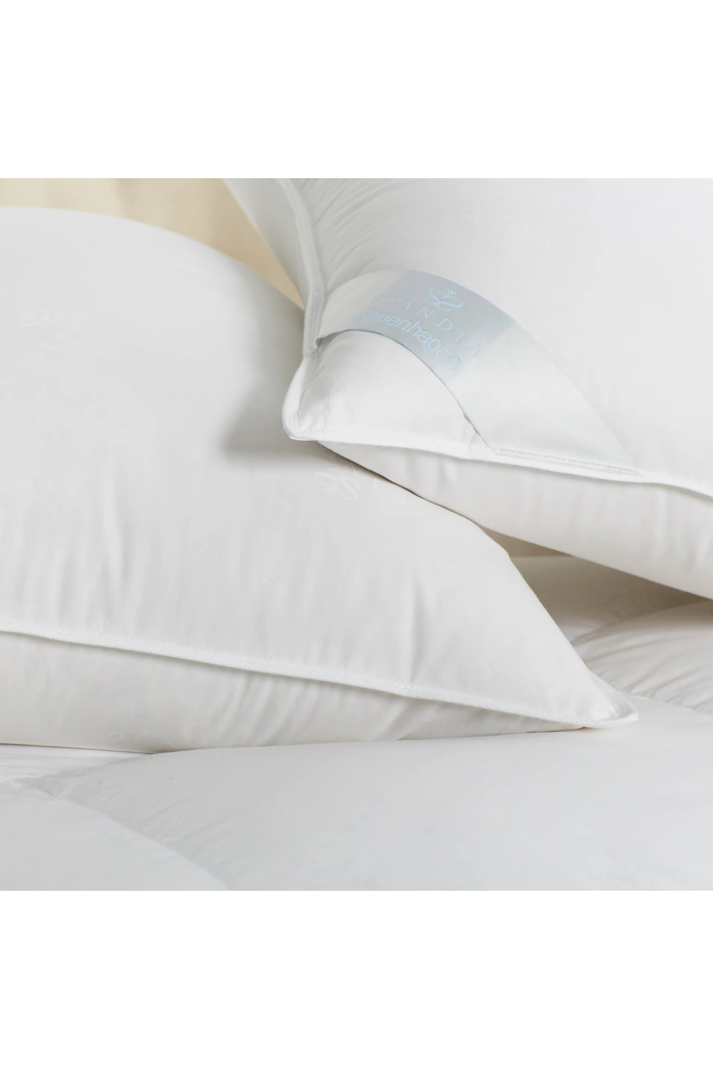 300TC Cotton Pillow | Scandia Copenhagen | Oroa.com