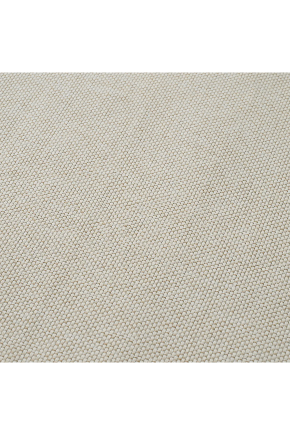 Rattan Look Outdoor Dining Chair | Eichholtz Nolan | Oroa.com