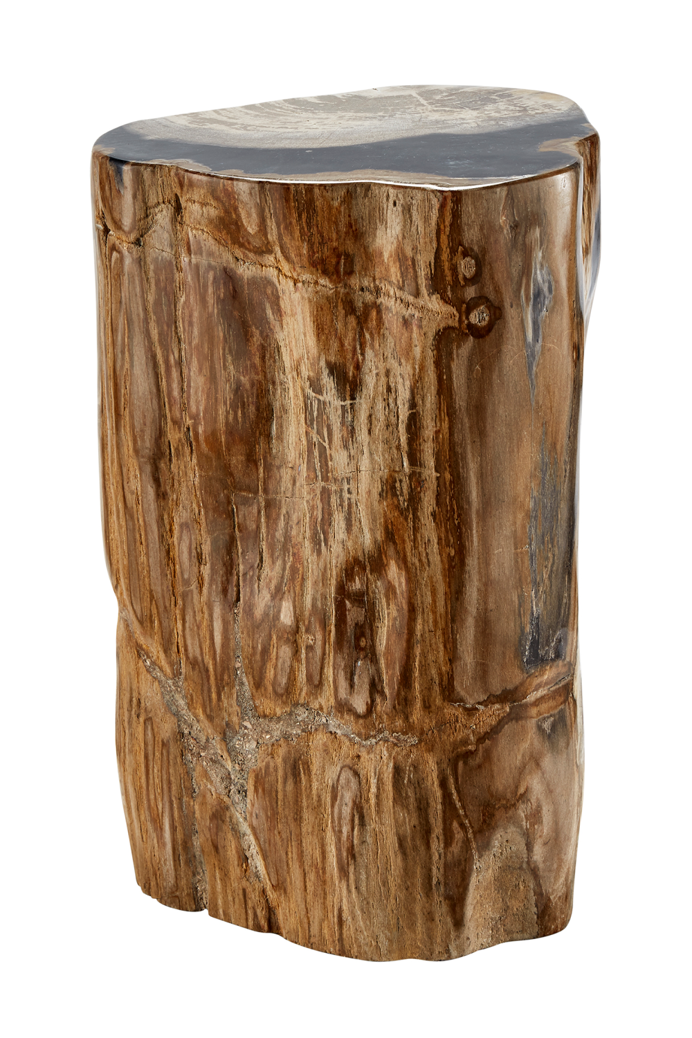 Hand-Polished Petrified Wood Side Table | Andrew Martin Log
