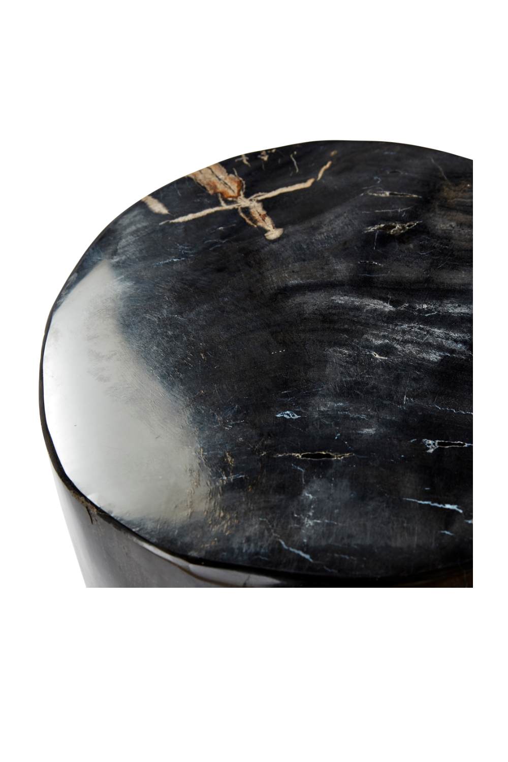 Hand-Polished Petrified Wood Side Table | Andrew Martin Log