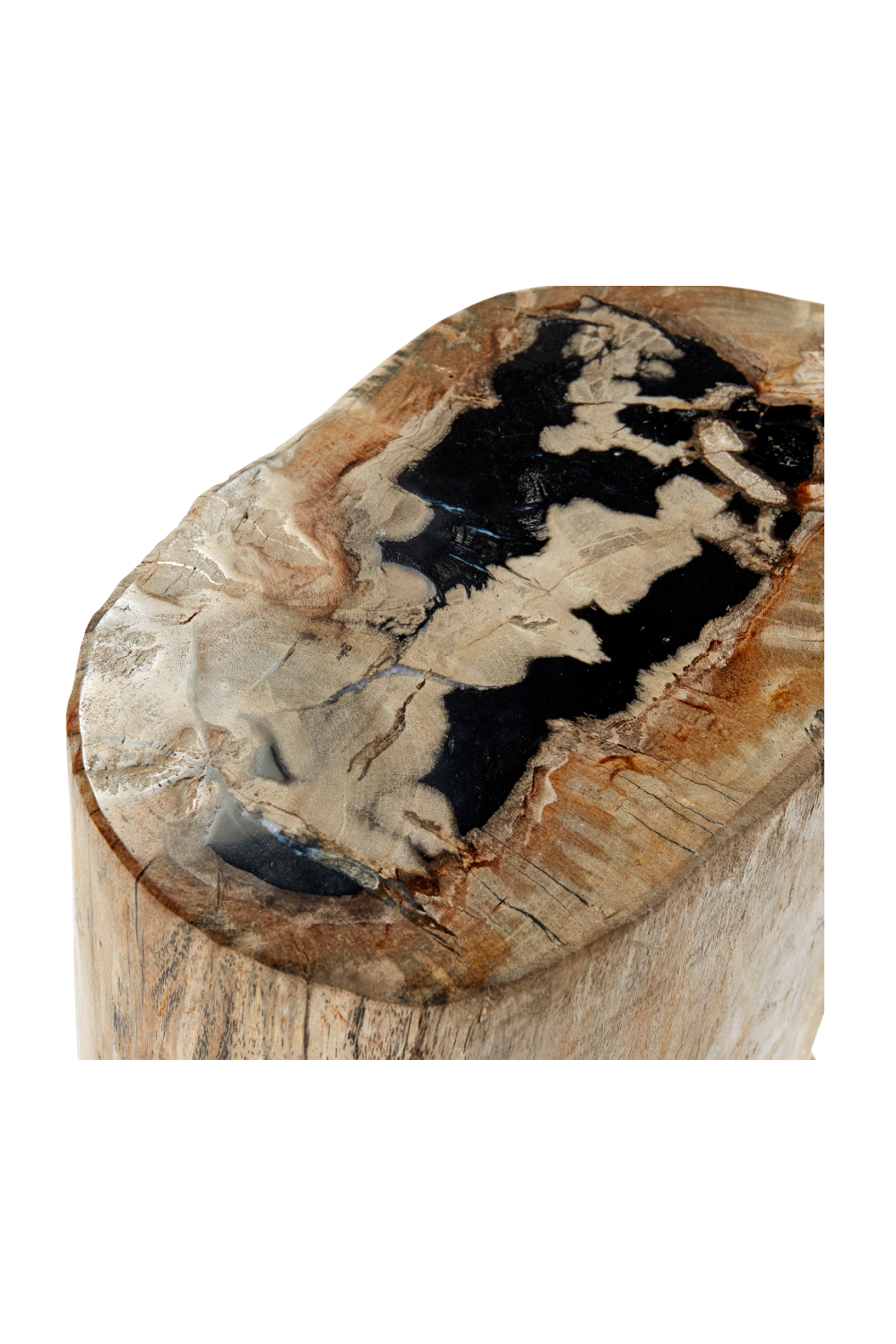 Hand-Polished Petrified Wood Side Table | Andrew Martin Log