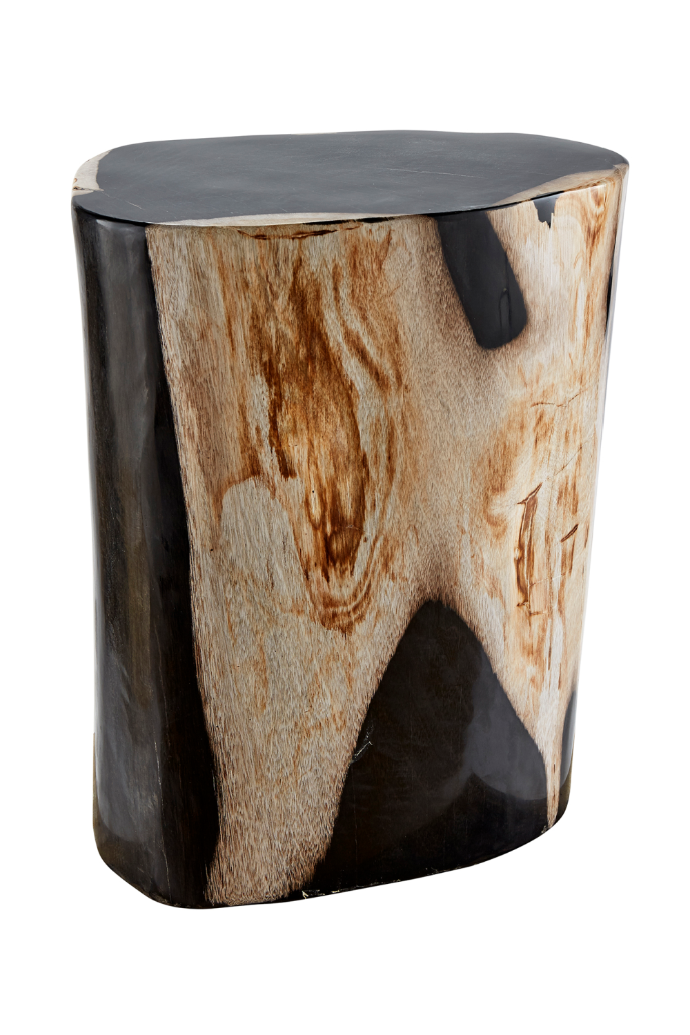 Hand-Polished Petrified Wood Side Table | Andrew Martin Log