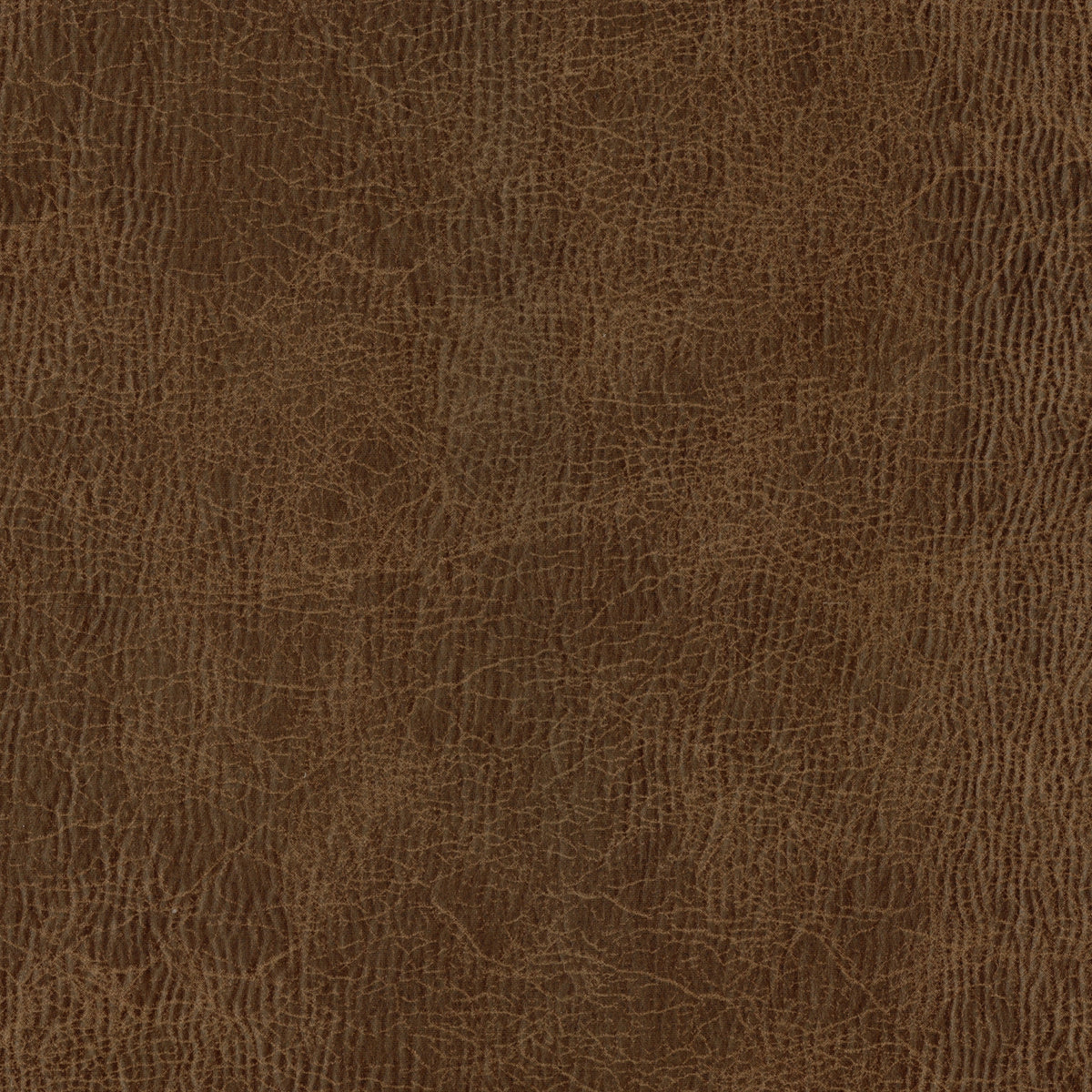 Modern European furniture - Modern Brown Leather Dining Chair (2) - www.oroa.com