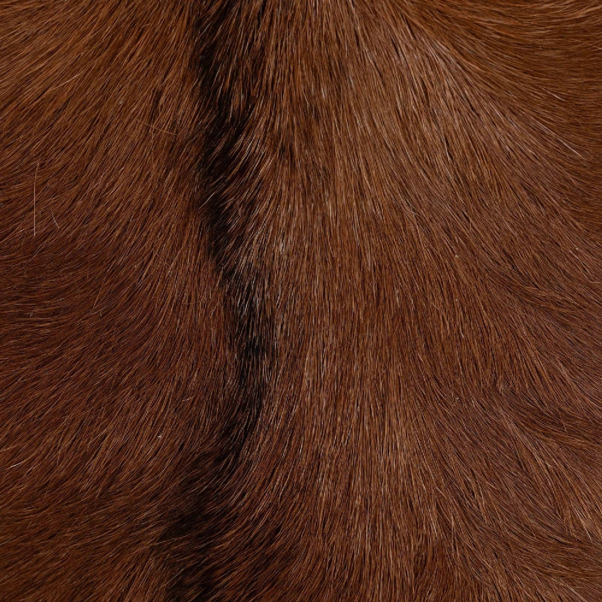 Modern European furniture - Rustic Leather Counter Stool - www.oroa.com