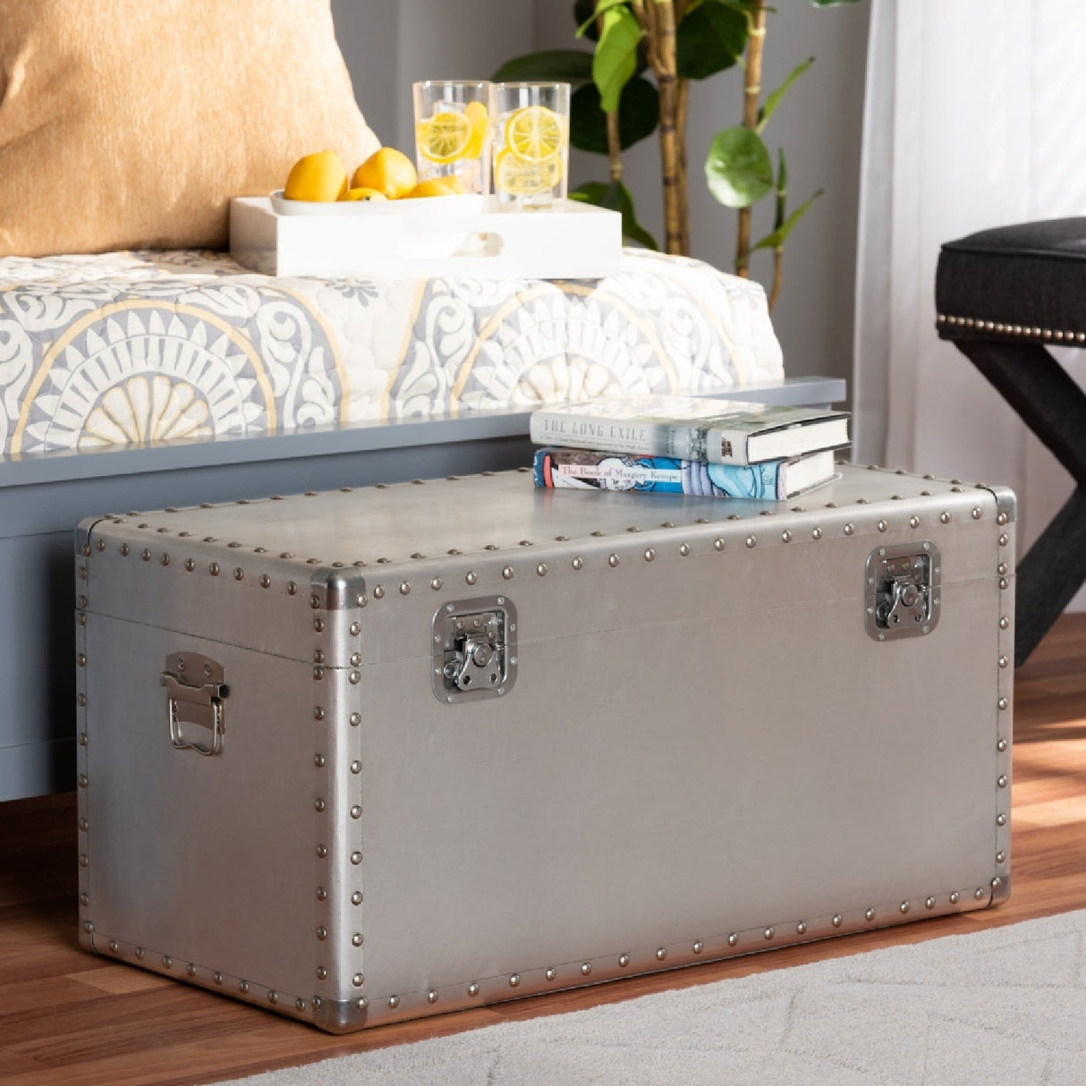 Modern European furniture - Silver Metal Storage Trunk - www.oroa.com