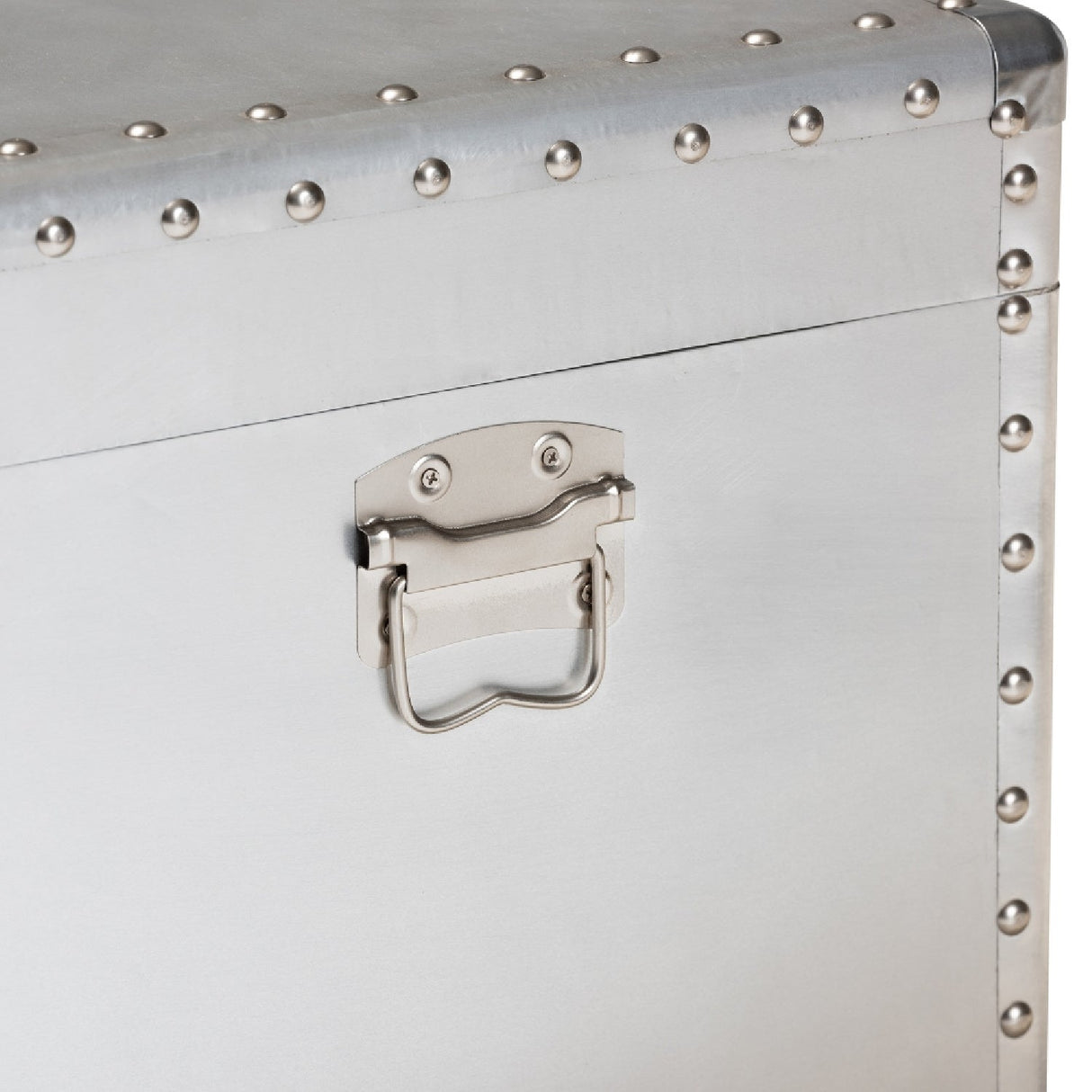 Modern European furniture - Silver Metal Storage Trunk - www.oroa.com