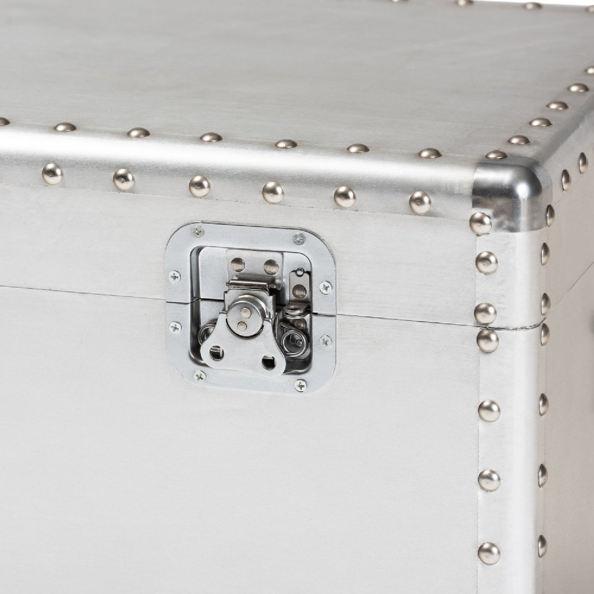 Modern European furniture - Silver Metal Storage Trunk - www.oroa.com
