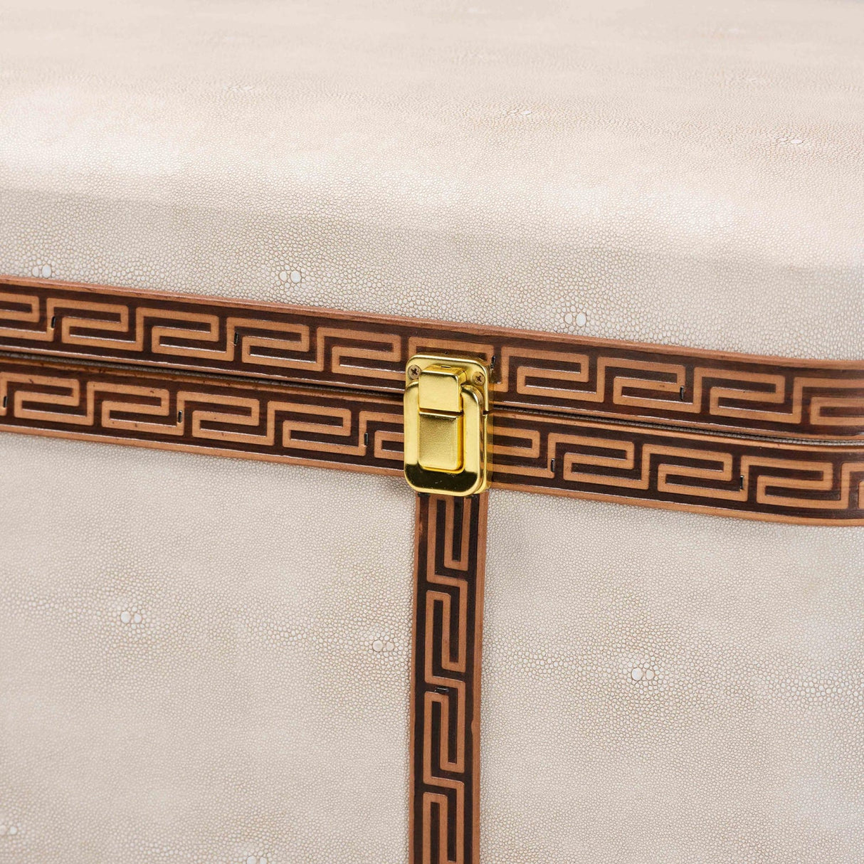 Modern European furniture - Beige Shagreen Look Storage Trunk - www.oroa.com