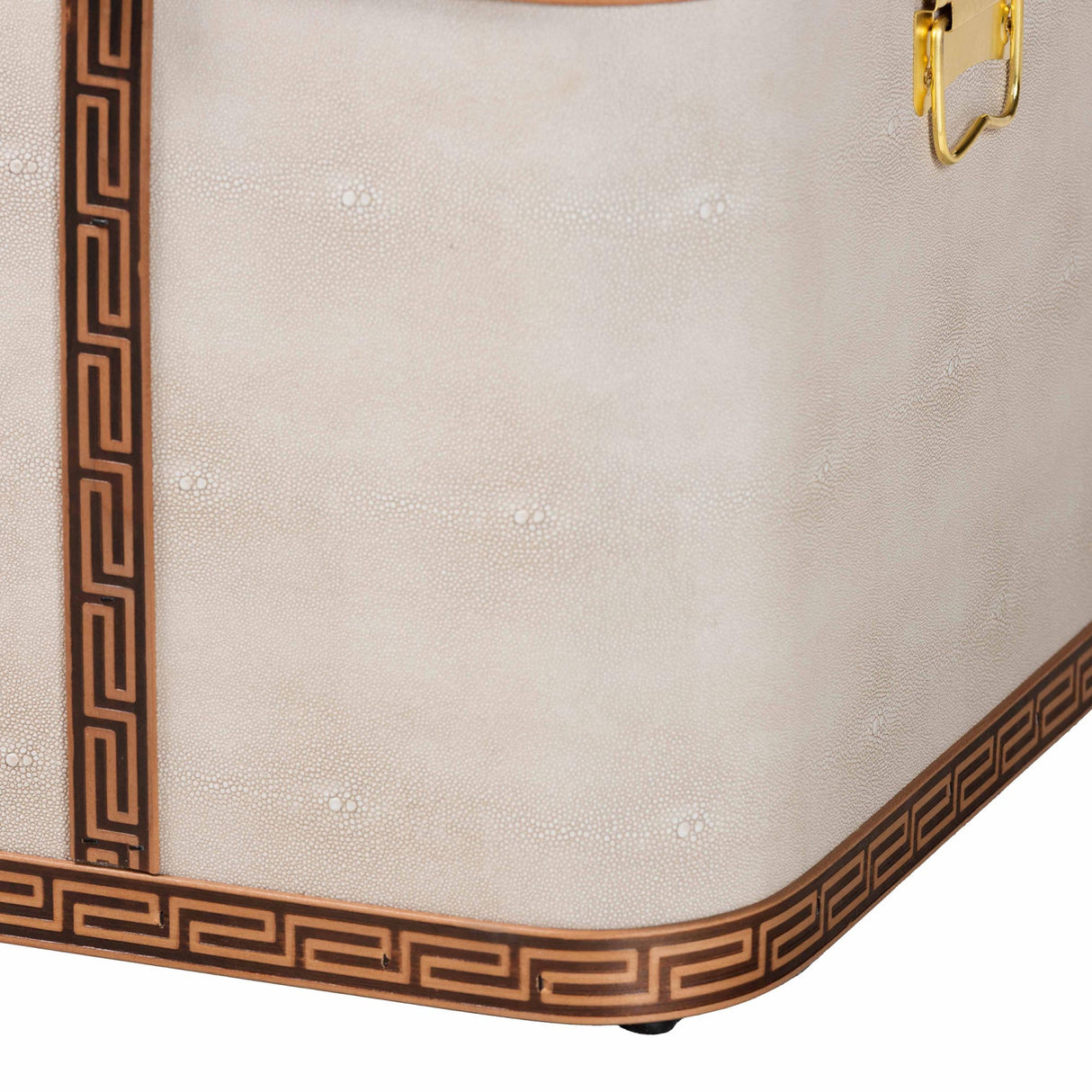 Modern European furniture - Beige Shagreen Look Storage Trunk - www.oroa.com