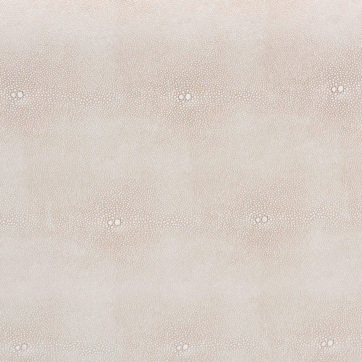 Modern European furniture - Beige Shagreen Look Storage Trunk - www.oroa.com