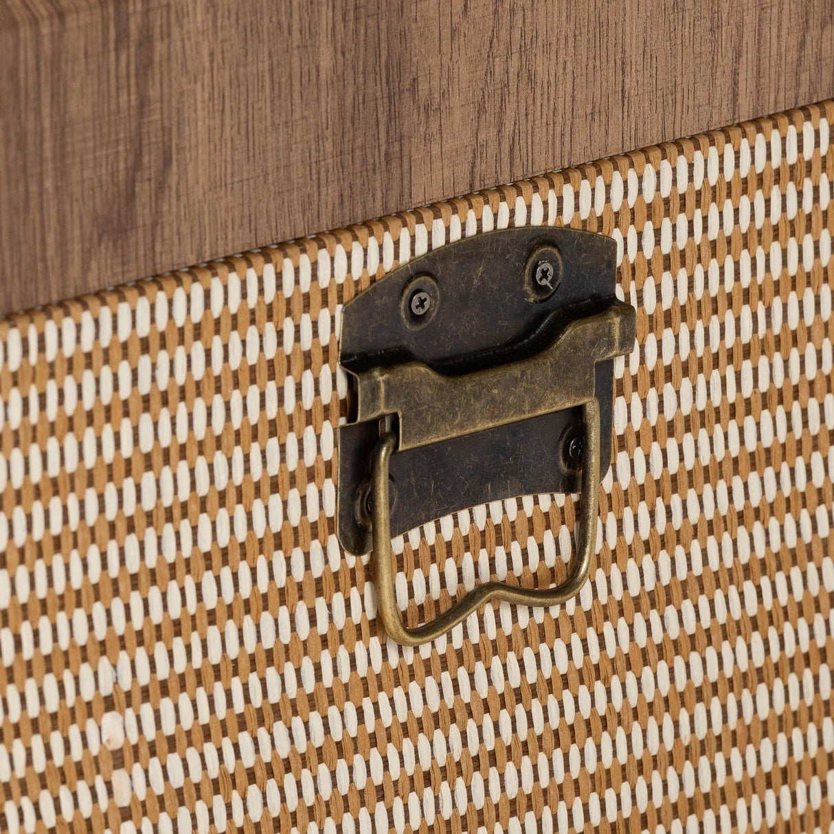 Modern European furniture - Woven Exterior Storage Trunk - www.oroa.com