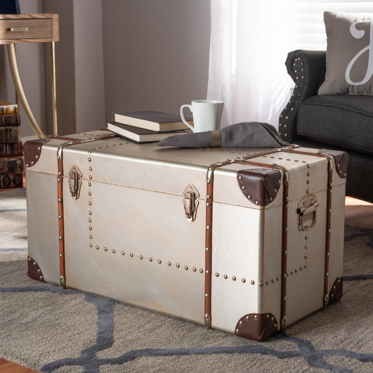 Modern European furniture - Silver Vintage Storage Trunk - www.oroa.com
