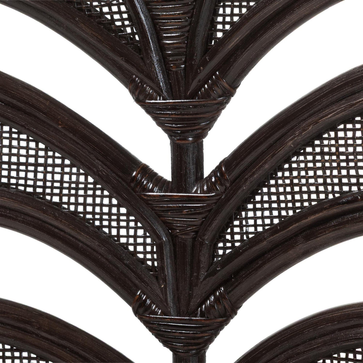 Modern European furniture - Banana Leaf Design Dining Chair - www.oroa.com