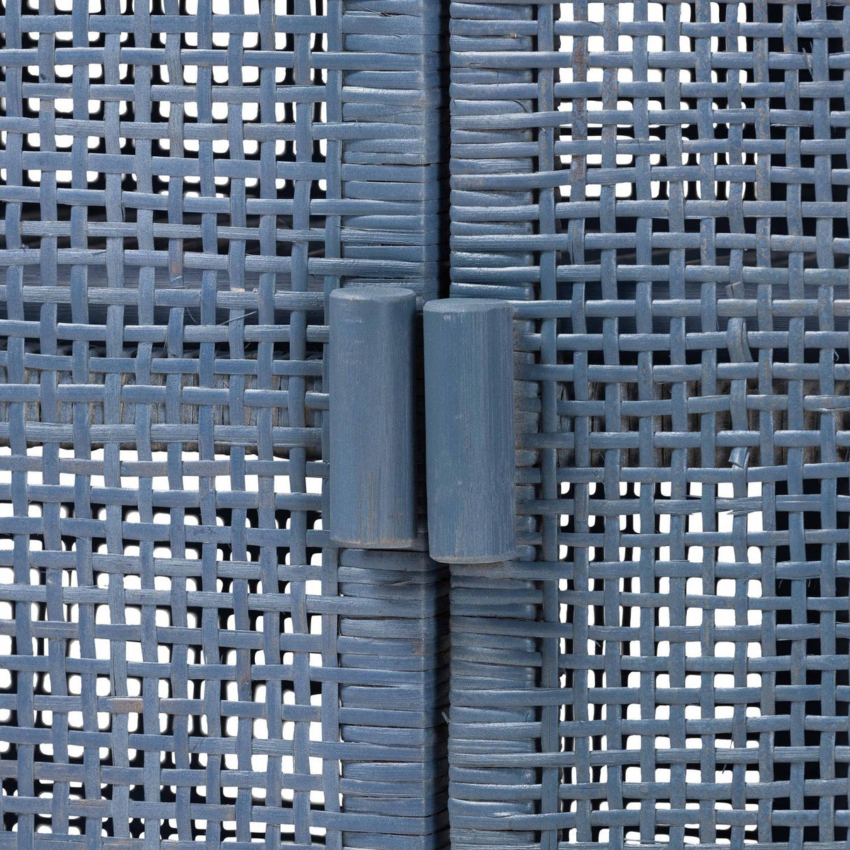 Modern European furniture - Blue Rattan 2-Door Cabinet - www.oroa.com