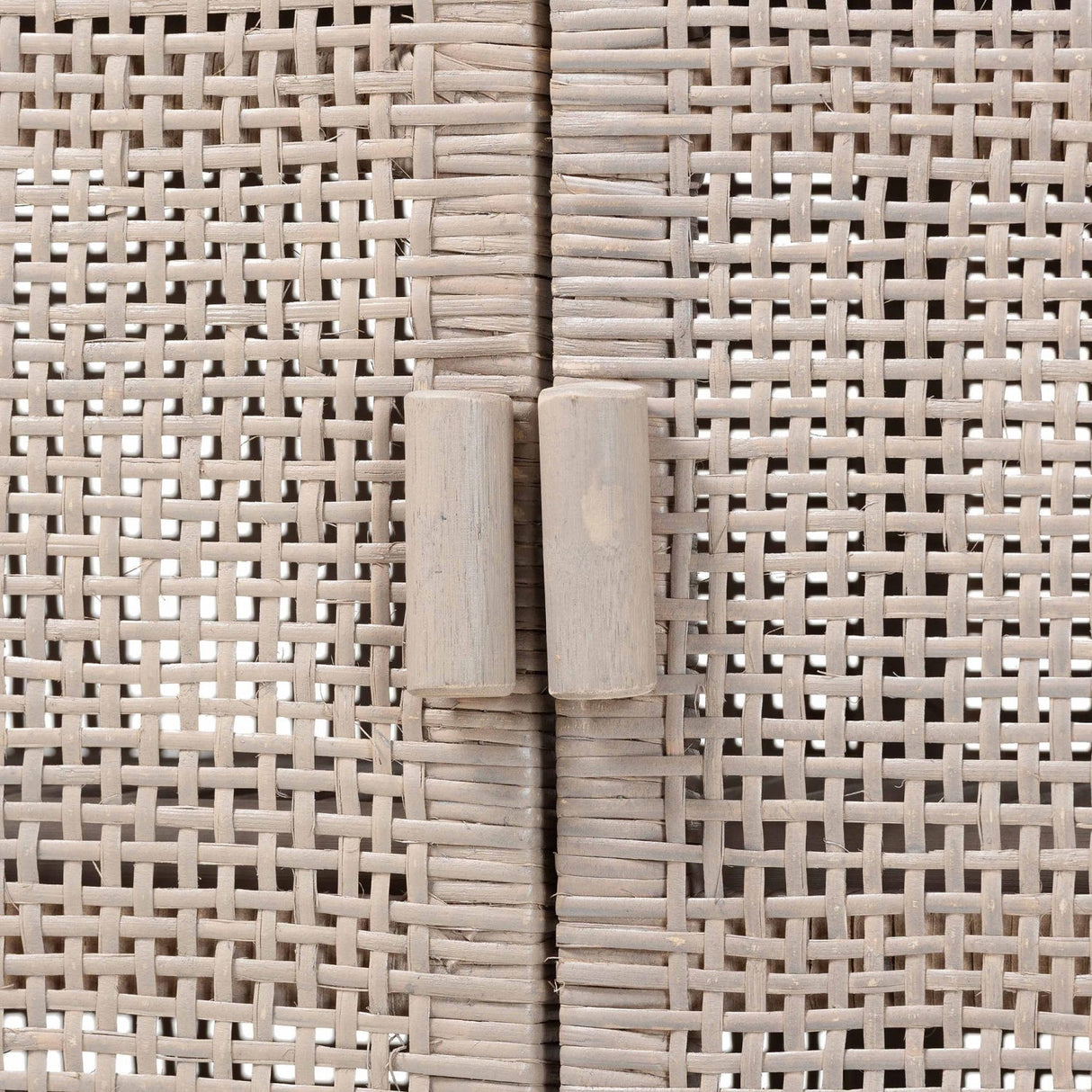Modern European furniture - Gray Rattan 2-Door Cabinet - www.oroa.com