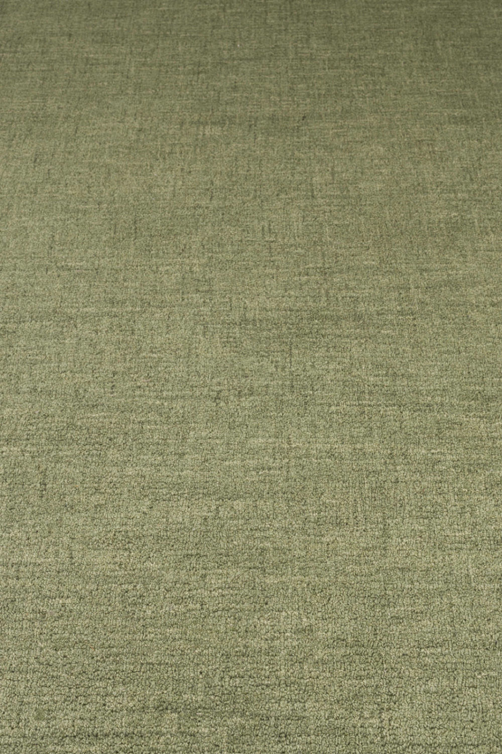 Green Wool Carpet 5' x 7'5" | Bold Monkey Sugar Lines | Oroa.com