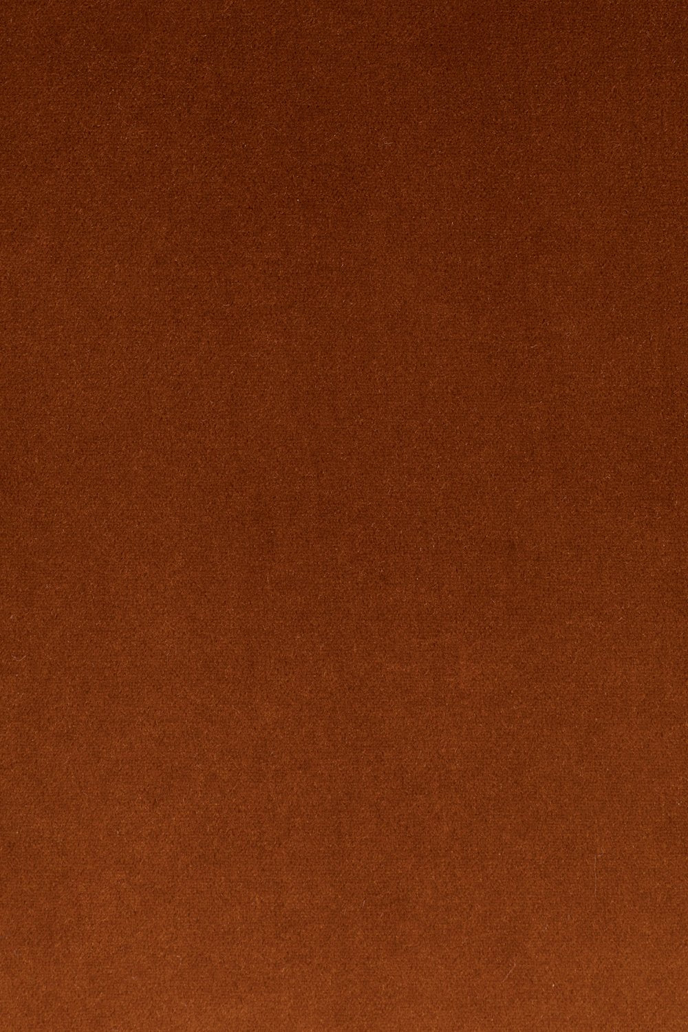 Wrinkled Velvet Lounge Chair | Bold Monkey So Curvy | Oroa.com