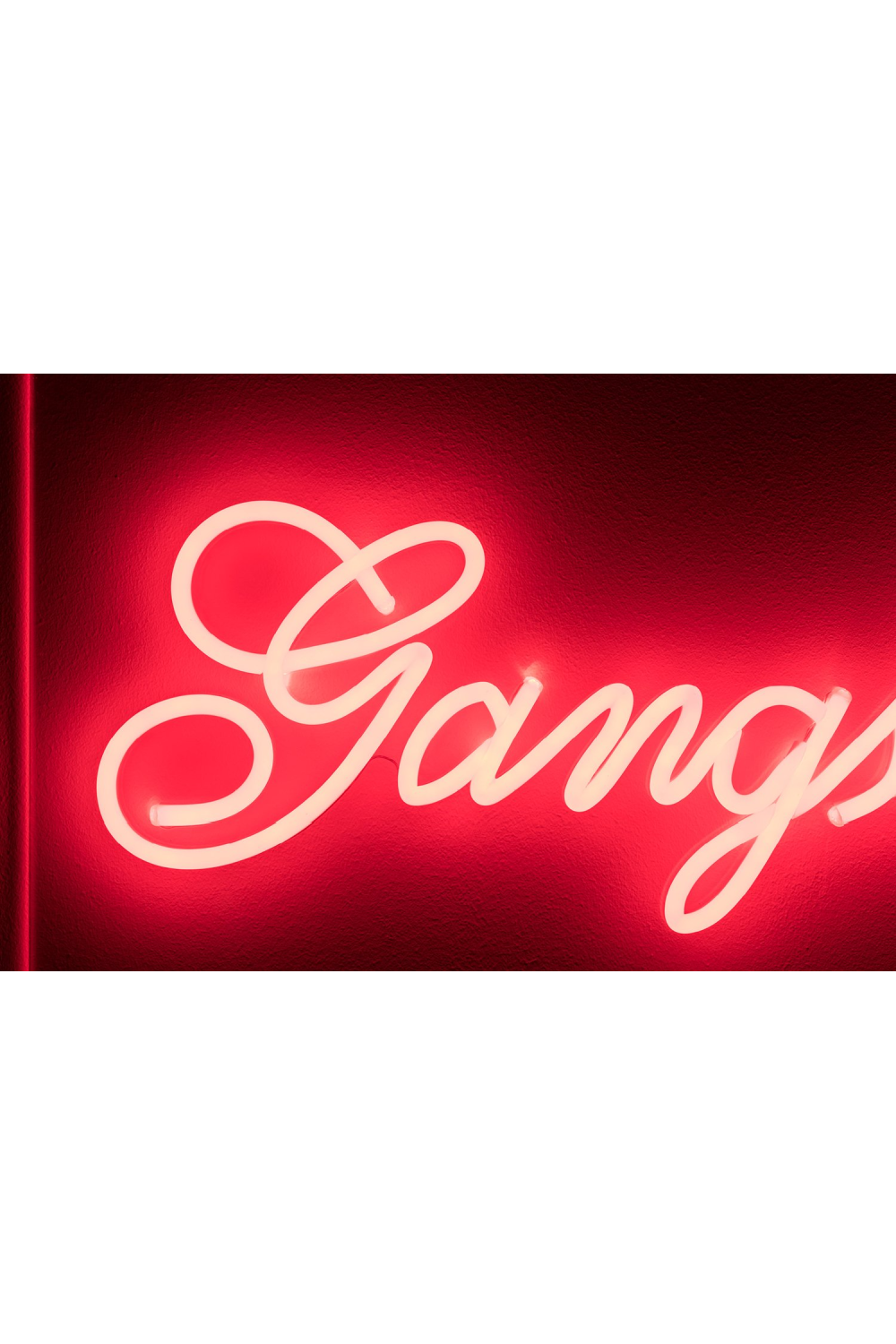 LED neon sign | Bold Monkey Gangsters Non Social | OROA.com