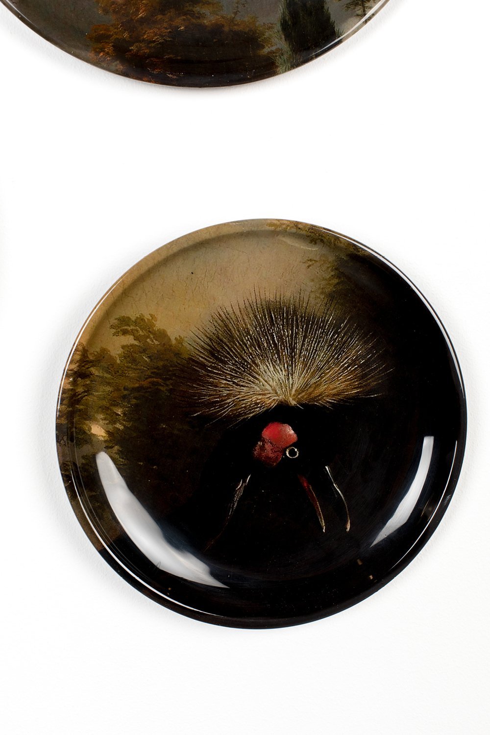 Bird Print Wall Lamps (4) | Bold Monkey No Food Here Birds | OROA.com