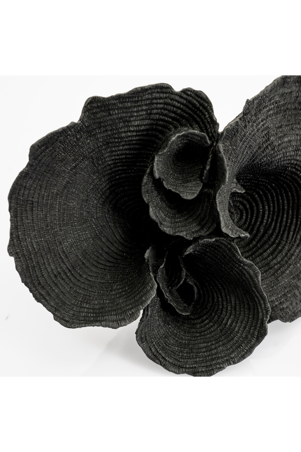 Black Decorative Polyresin Coral (4) | Oroa.com