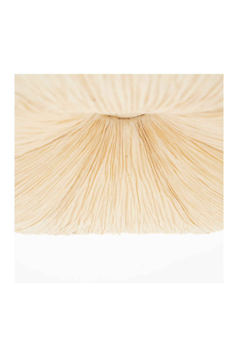 Handmade Paper Pendant Lamp | Oroa.com