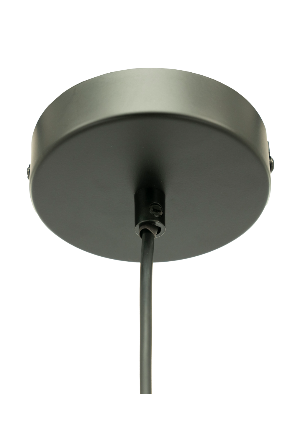 Transparent Brown Pendant Lamp | Oroa.com