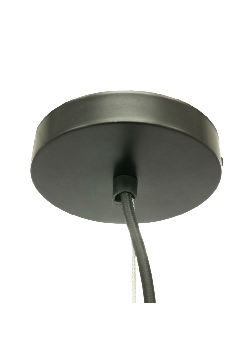 Abaca Plant Pendant Lamp | Oroa.com