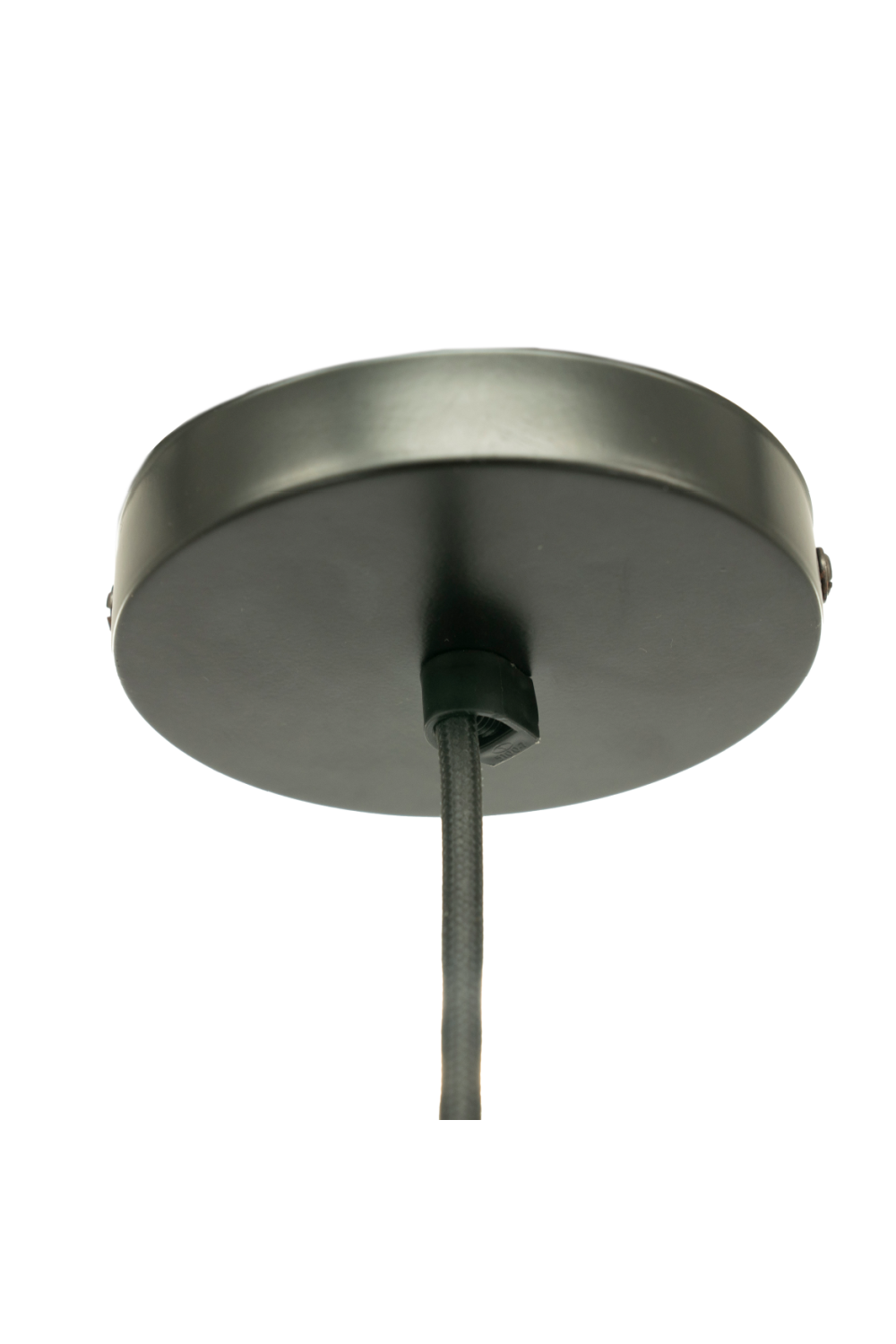 Abaca Plant Pendant Lamp | Oroa.com