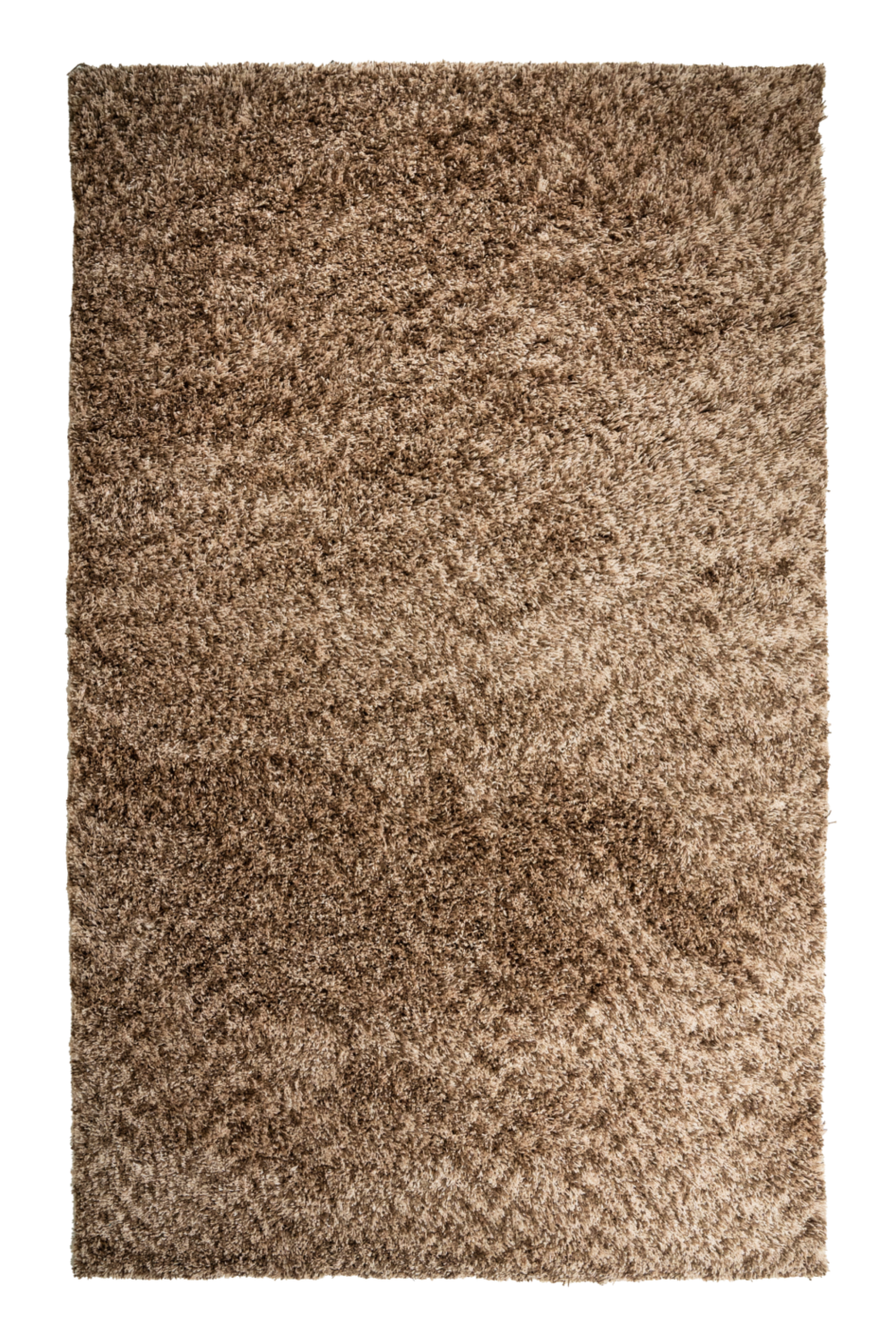Shaggy Plush Carpet 5' x 8' | Oroa.com