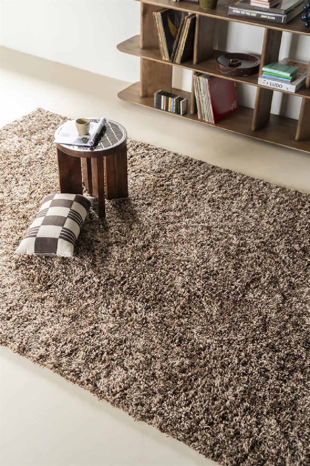 Shaggy Plush Carpet 6' x 10' | By-Boo Mixi | OROA.com