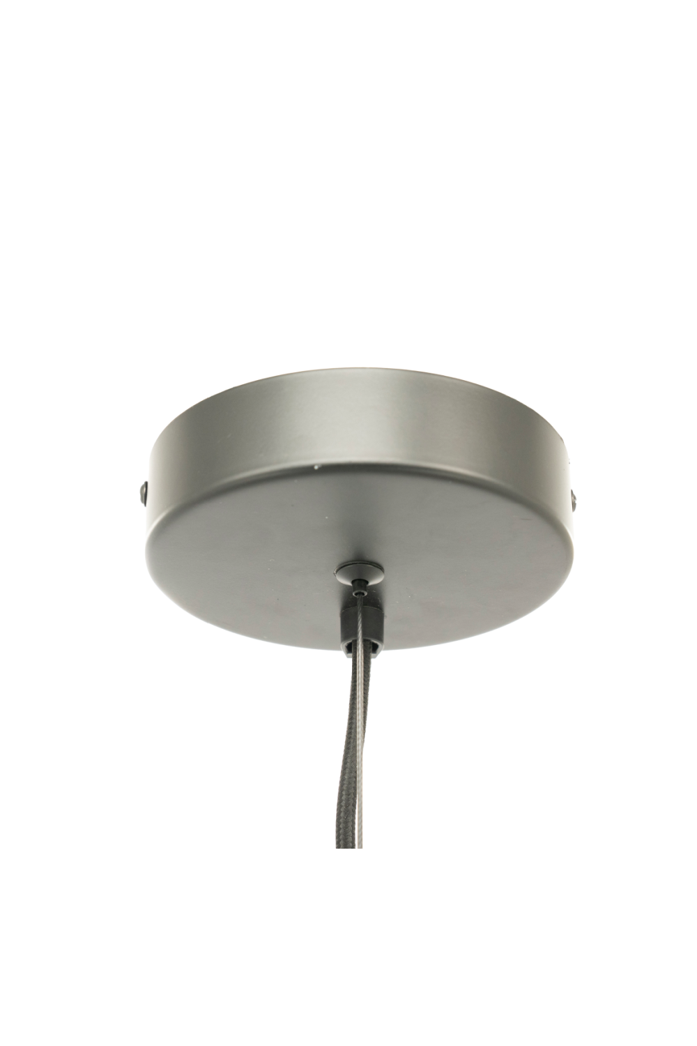 Painted Glass Pendant Lamp | Oroa.com