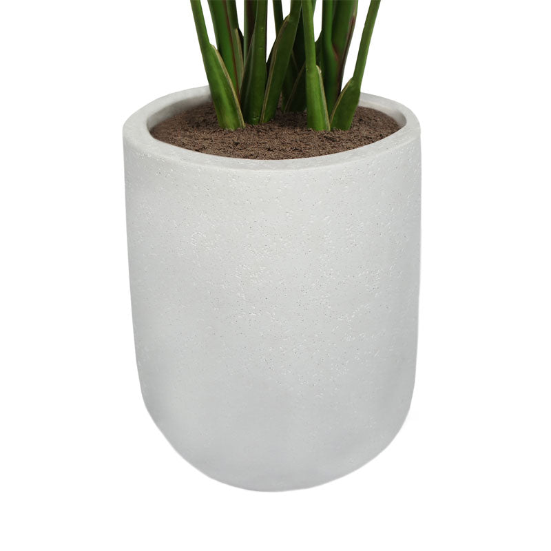 Everlasting Bird of Paradise Tree with Modern Gray Planter - OROA