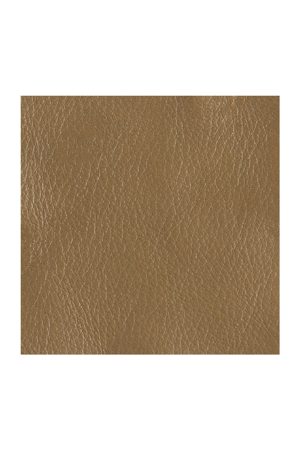 Brown Leather Accent Chair | Caracole Rebound | Oroa.com