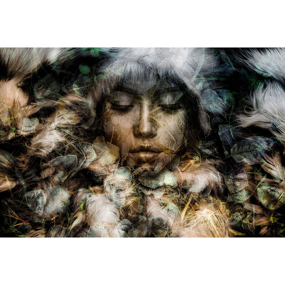 Frio Frosty Lady photographic art print by Cobra Art